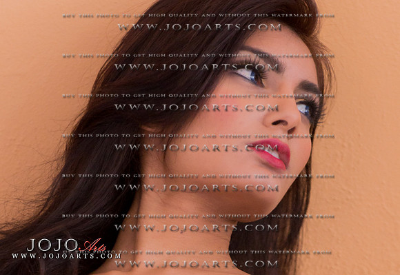 Photographer: Josh John www.jojoarts.com  MUA: Aneela K www.aneelak.com