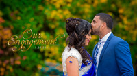 Nov 7 Engagement